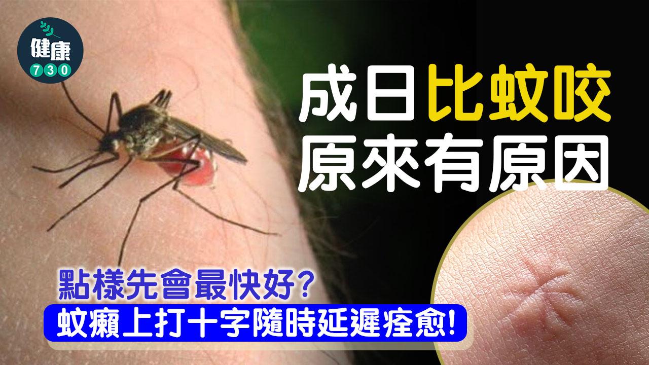 為何偏偏選中我?成日比蚊咬原來有原因