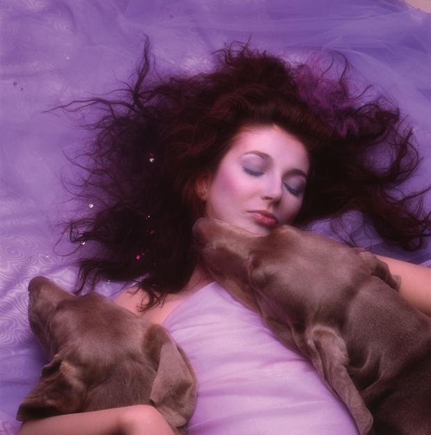 《Running Up That Hill》是英國創作女歌手Kate Bush的37年前舊歌。