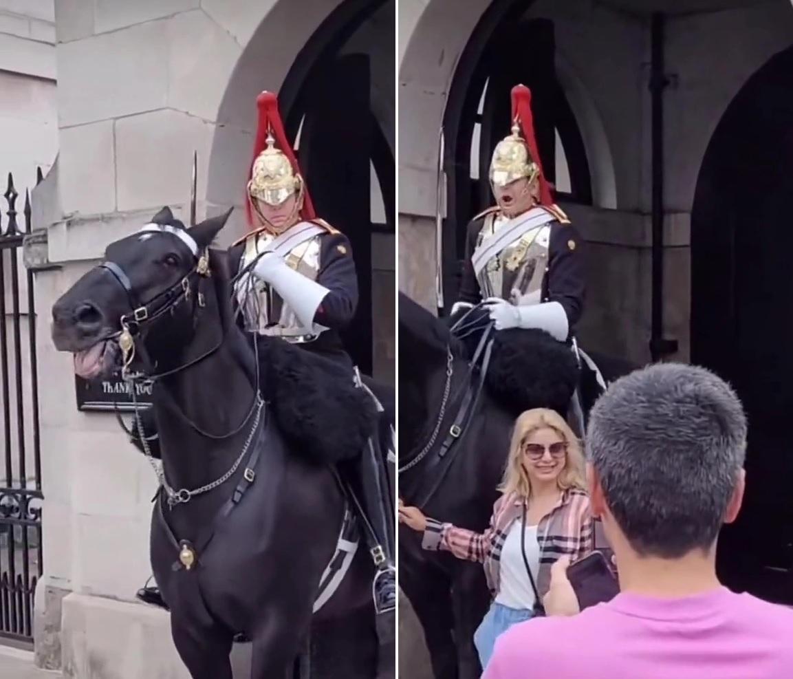 女遊客抓韁繩拍照令馬匹受驚,皇家衛兵對她厲聲喝令。(互聯網)