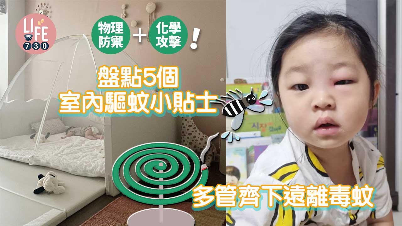 驅蚊|物理防禦+化學攻擊!盤點5個室內驅蚊小貼士 多管齊下遠離毒蚊!
