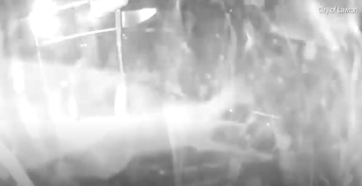 鹿仔撞爆擋風玻璃。(互聯網)