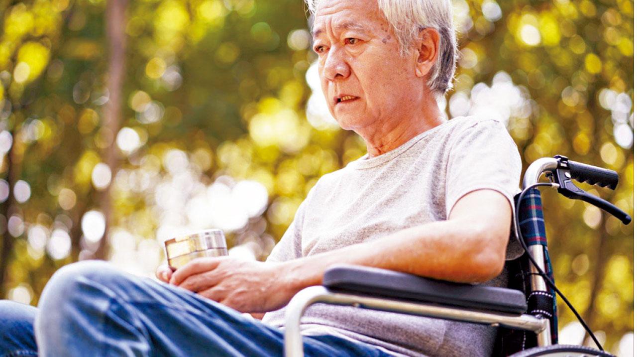 研究:高脂食物或破壞大腦