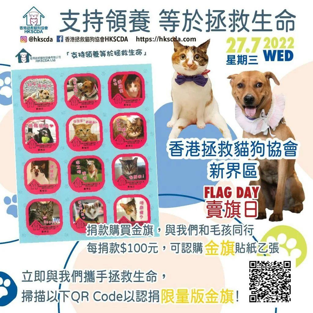 有歌迷會參與香港拯救貓狗協會賣旗活動,但竟然有一半人沒有出席。