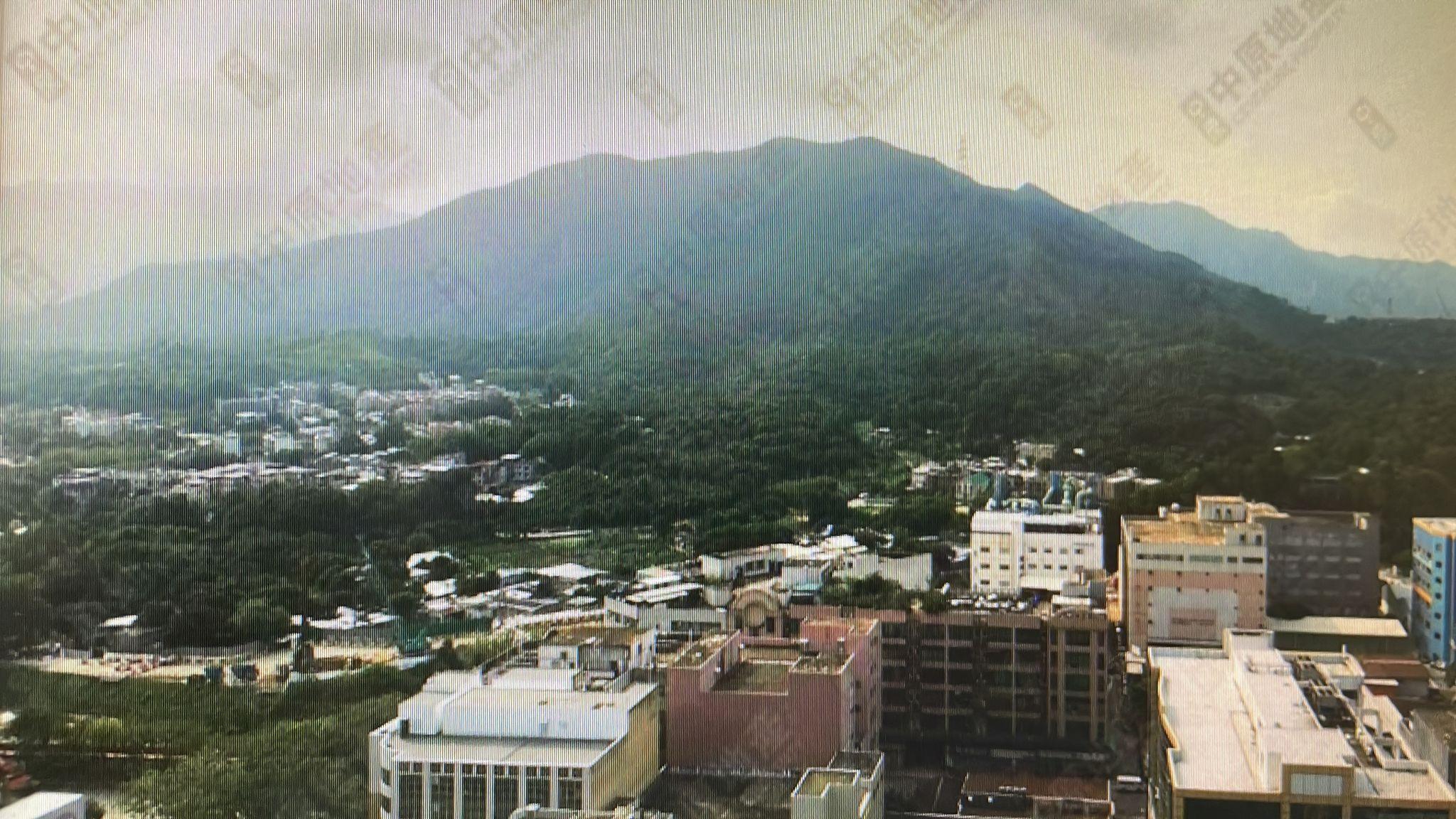 單位位於高層,景觀望翠綠山景和前方的低密度樓景,景致開揚清靜。(代理提供相片)