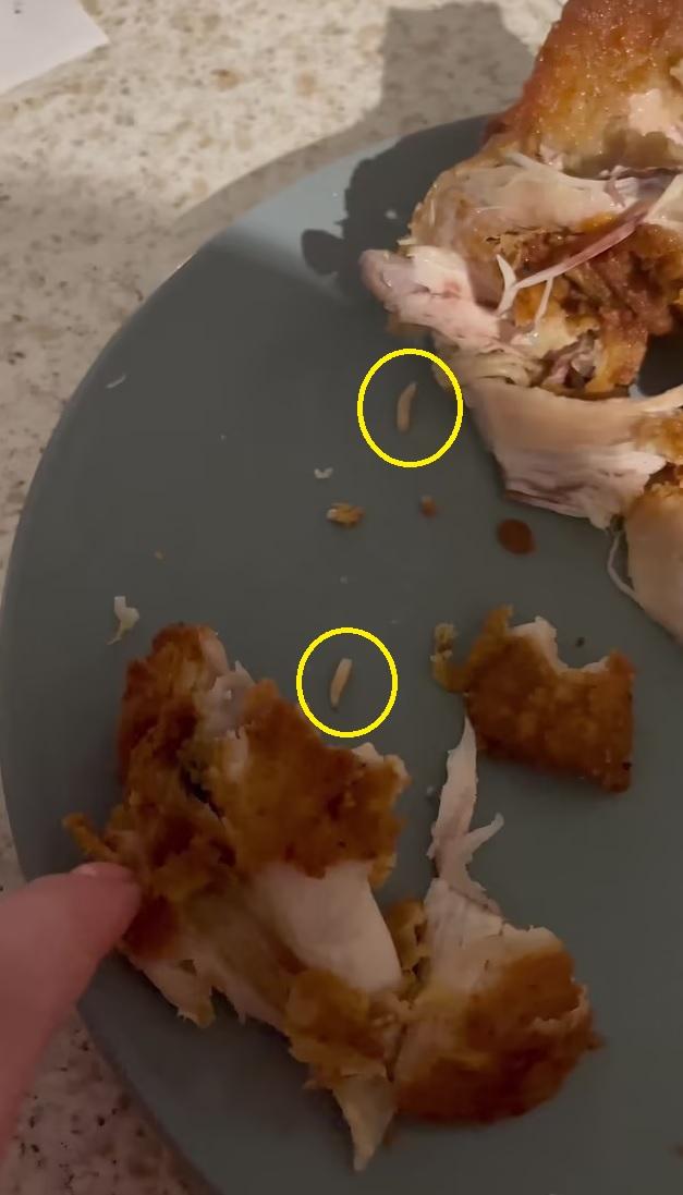 蛆蟲(黃圈示)看來活躍。(互聯網)