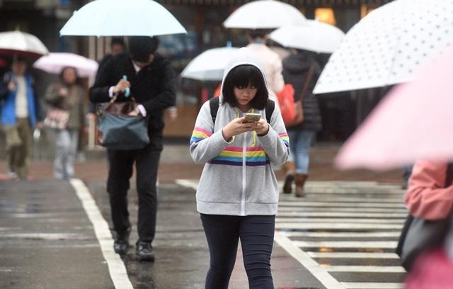 「低頭族」只顧看手機,不注意路況,有如「馬路炸彈」。(互聯網)