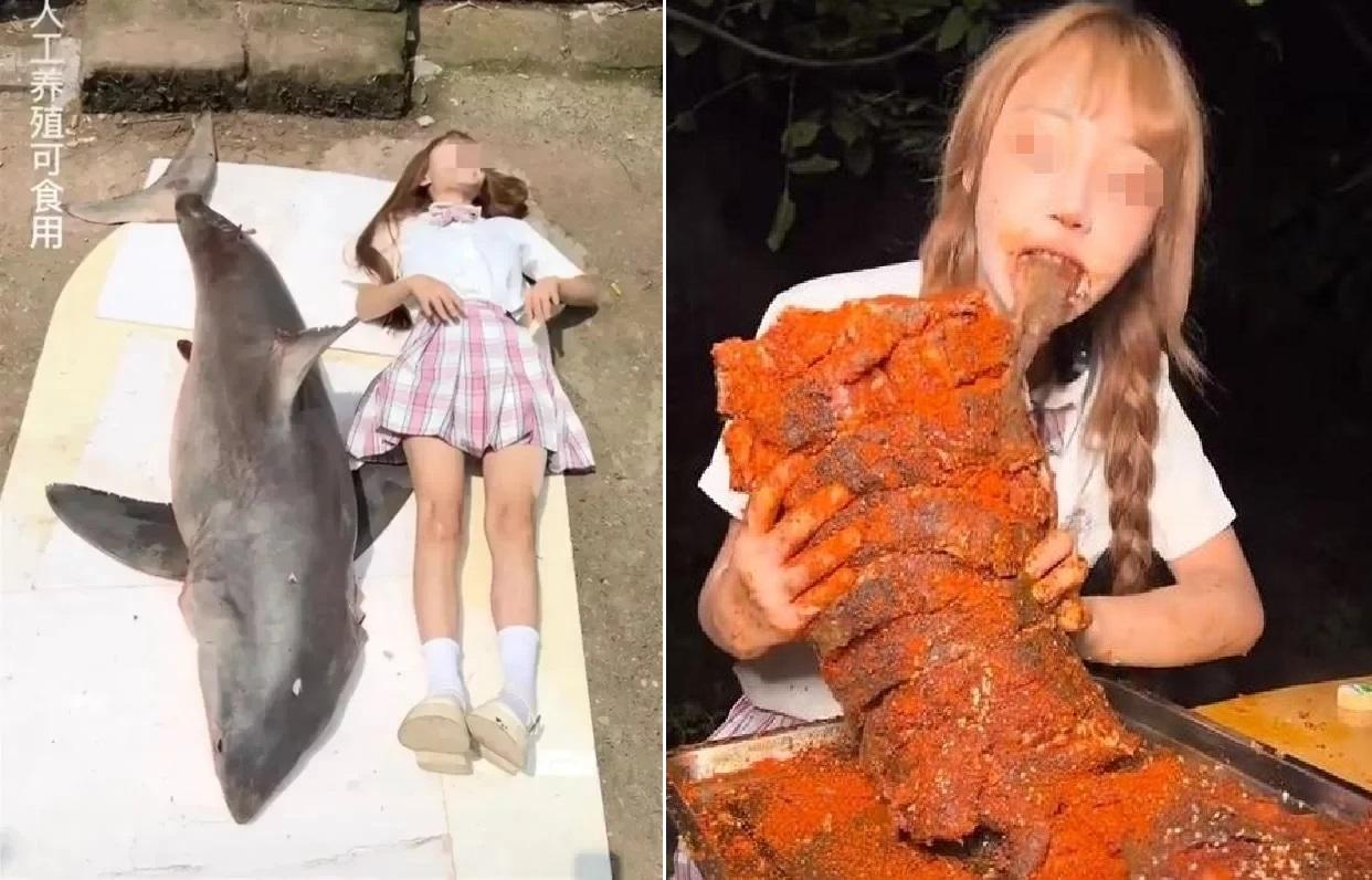 吃播 網紅燒鯊魚食官方證為受保護 大白鯊 Am730