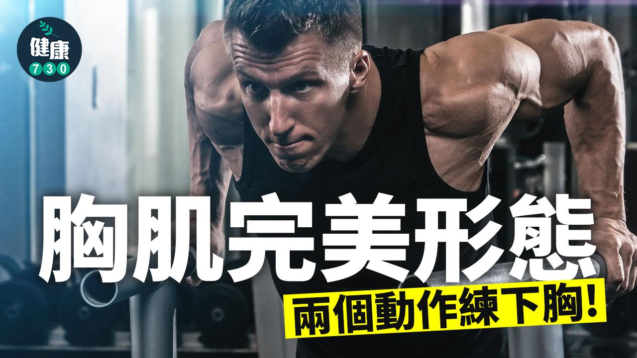 胸肌完美形態 下胸點樣練?