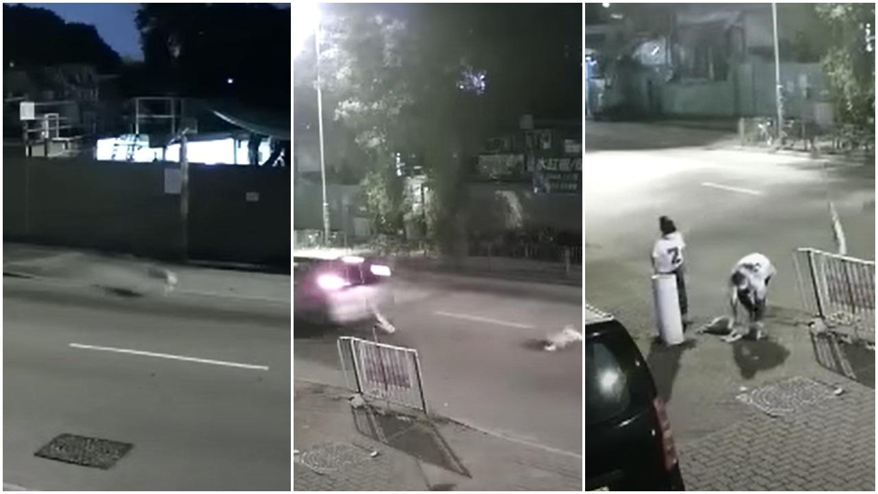 洪水橋有私家車撞倒狗,車主不顧而去,最終狗隻由旁人抬回路旁。(影片截圖)