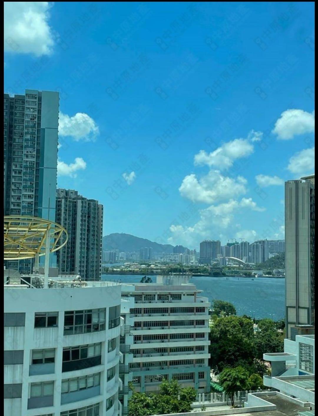 單位景觀相當開揚。(代理提供相片)