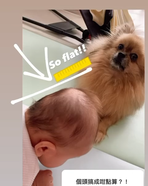 楊洛婷分享囝囝的扁頭照。