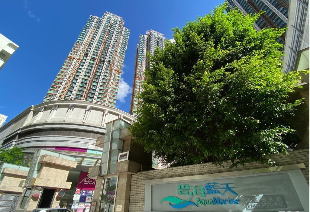 西九四小龍之一碧海藍天,9月份暫錄約6宗買賣個案,最新成交為6座中層兩房,作價790萬元,呎價15,927元。