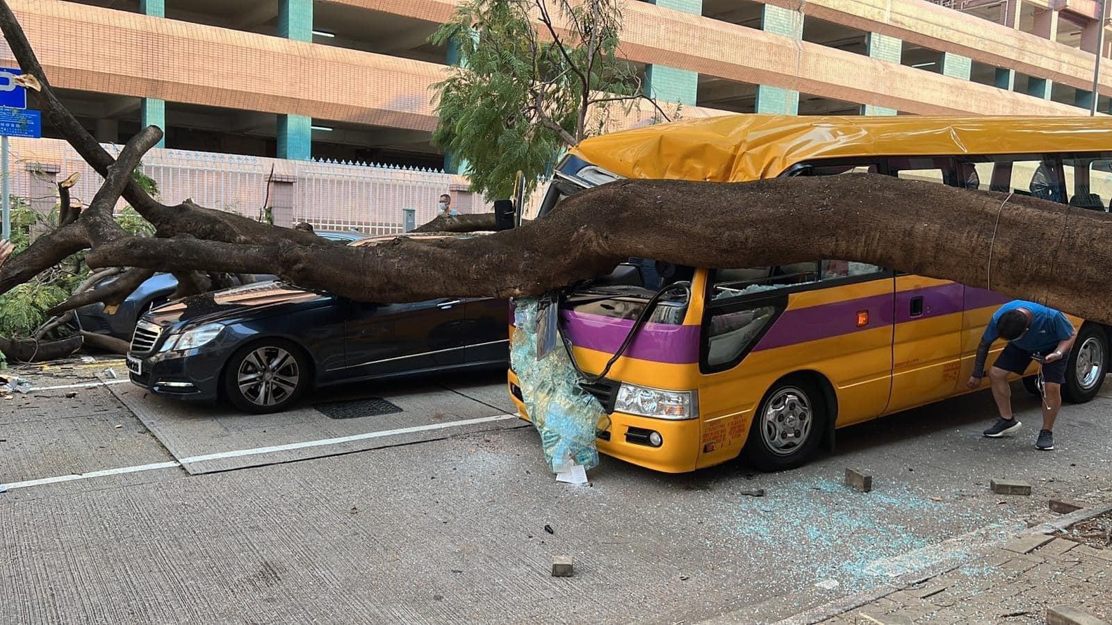 車Cam直擊|何文田巴富街有大樹倒塌 壓毀4車2人受傷 (有片)