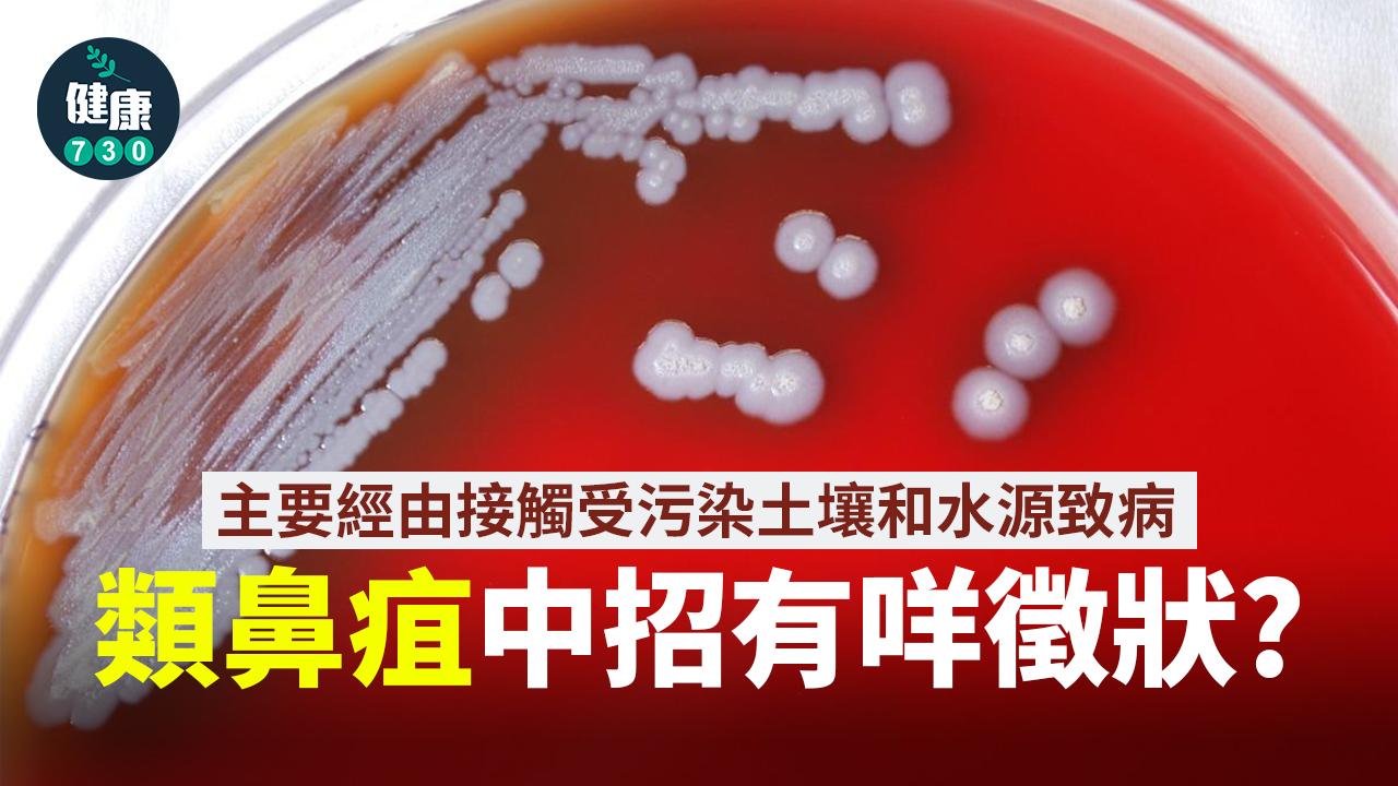 類鼻疽|中招有咩徵狀?要如何治療?