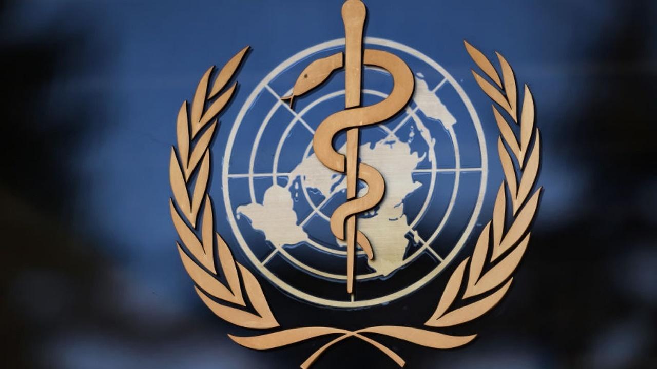 世界盃2022,8種傳染病風險飆升,世衞警告勿碰駱駝。(資料圖片)