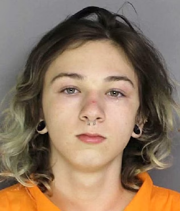 16歲疑犯Joshua Cooper。(互聯網)