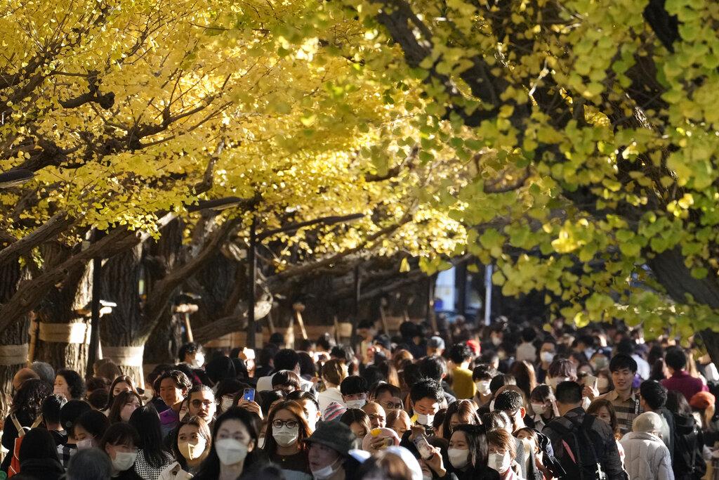 東京調高醫療警戒級別。(美聯社)