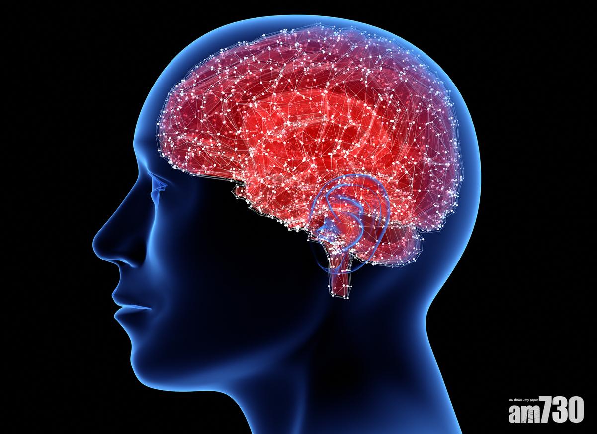 科學家發現,大腦有自我保護機制,避免想及自身死亡。(資料圖片)