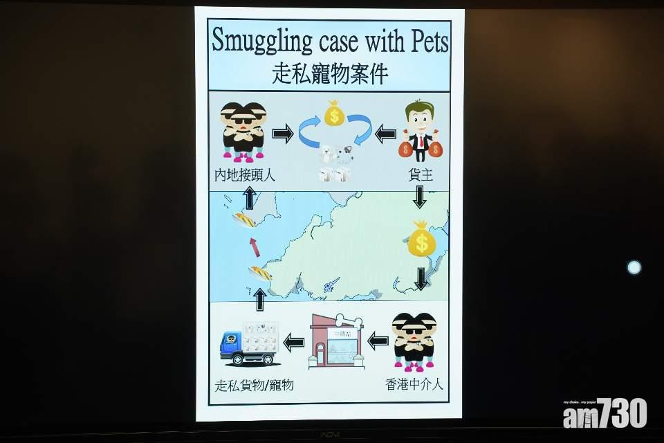 (陳奕釗攝)