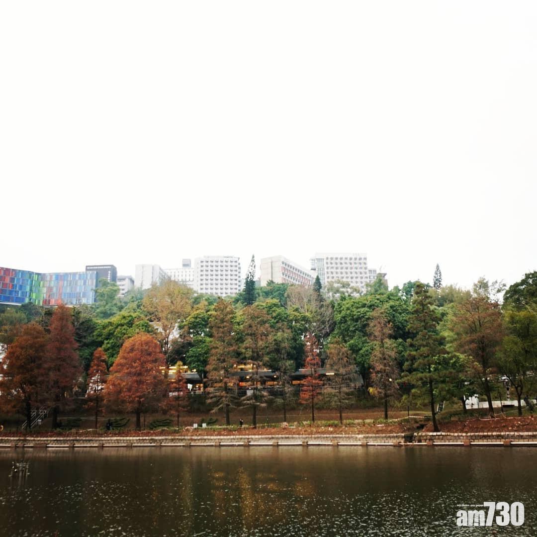 即使不是中大學生,也有很多人專登去打卡。(圖片來源:instagram@manvinkk)
