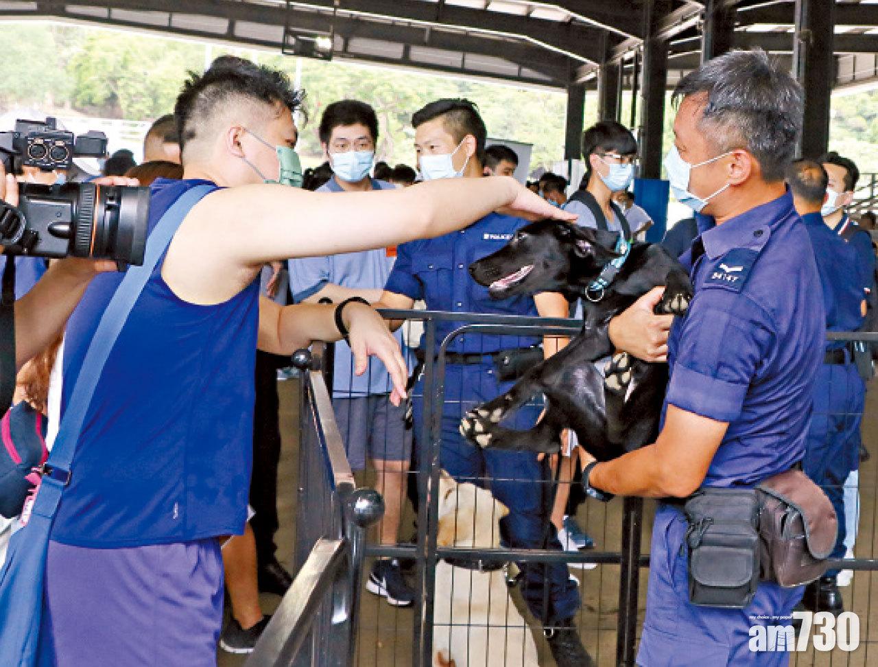 警犬甚受歡迎。
