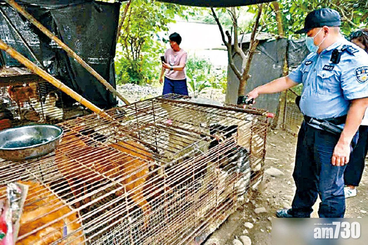 四川警方到涉事狗場調查。(互聯網)