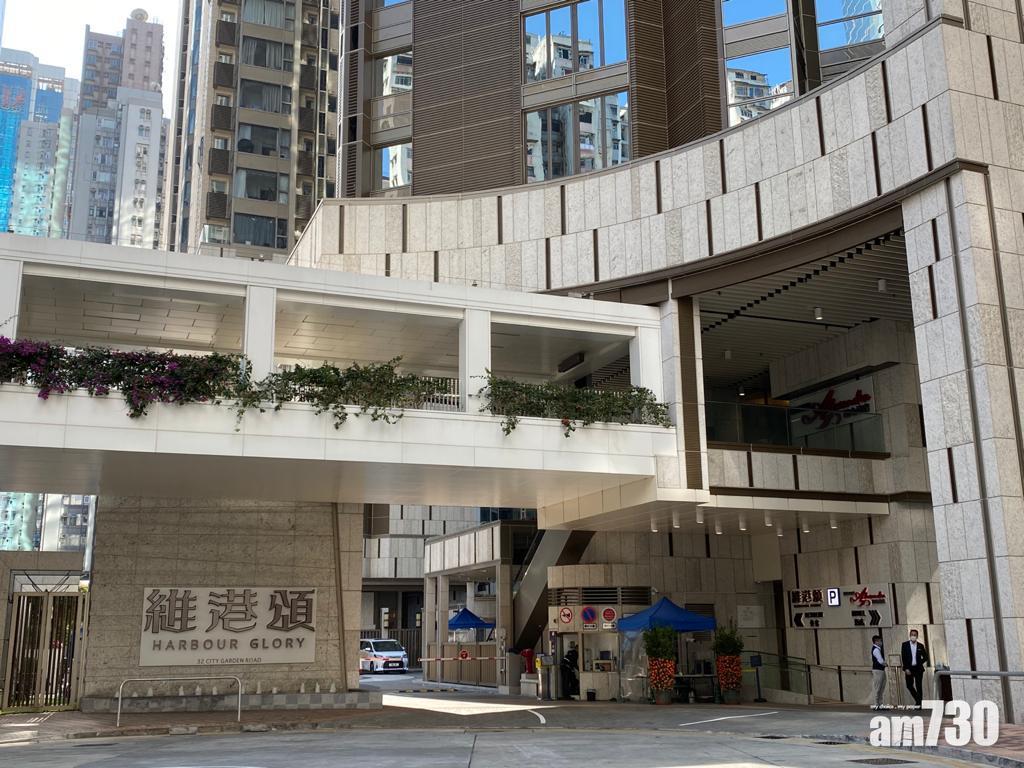 市場消息指,維港頌今年暫錄約6宗二手成交,當中5宗要蝕讓離場。(資料圖片)