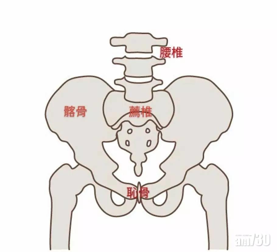 傳統捐骨髓方法會於腸骨(髂骨)抽取造血幹細胞,並不會涉及脊髓。