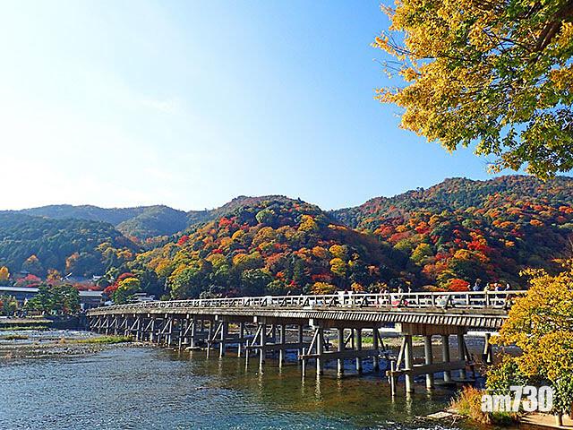 京都的嵐山是著名觀賞紅葉的地方。(日本氣象協會圖片)