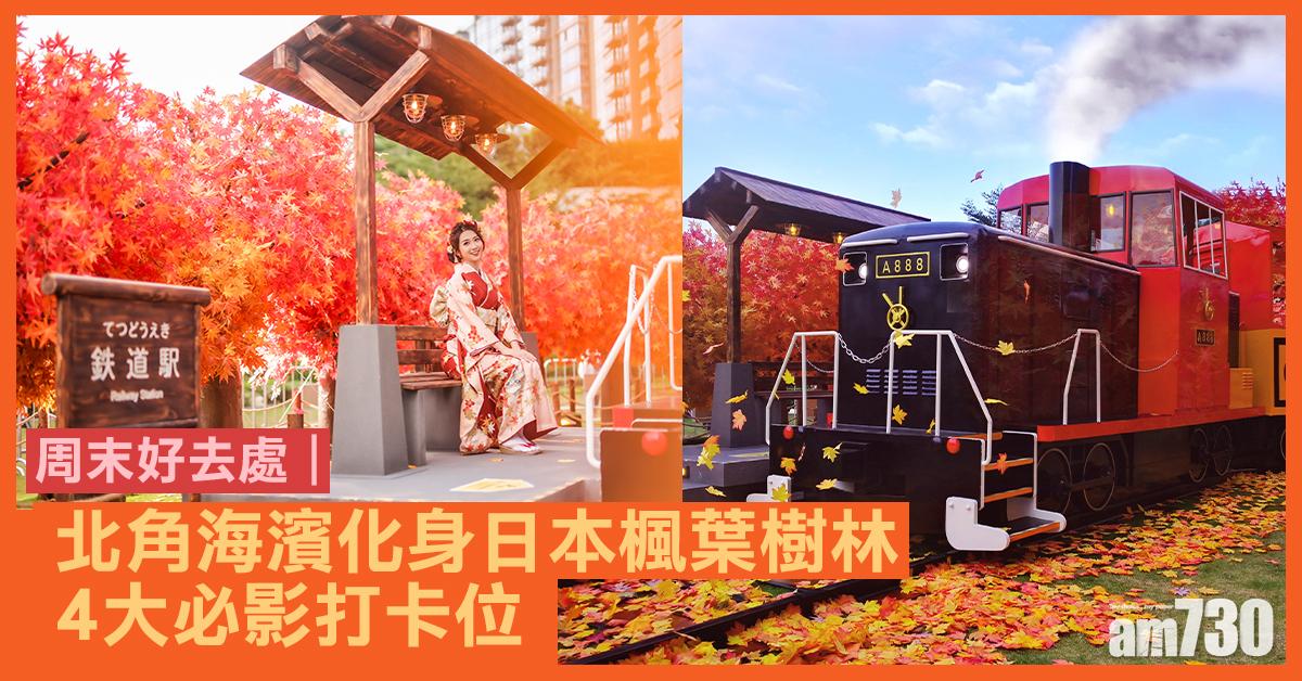 周末好去處|北角海濱化身日本楓葉樹林 4大必影打卡位 仿真楓葉+楓樹/鉄道駅/觀光火車