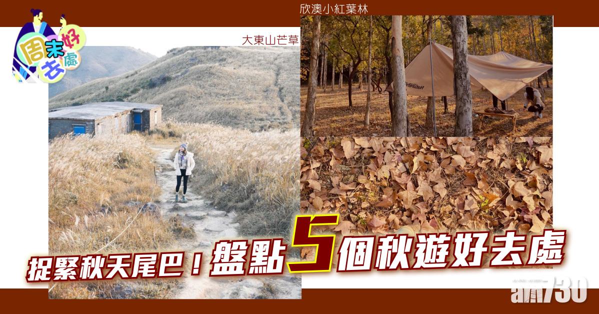 周末好去處|捉緊秋天尾巴!盤點5個秋遊好去處 欣澳小紅葉林、大東山芒草