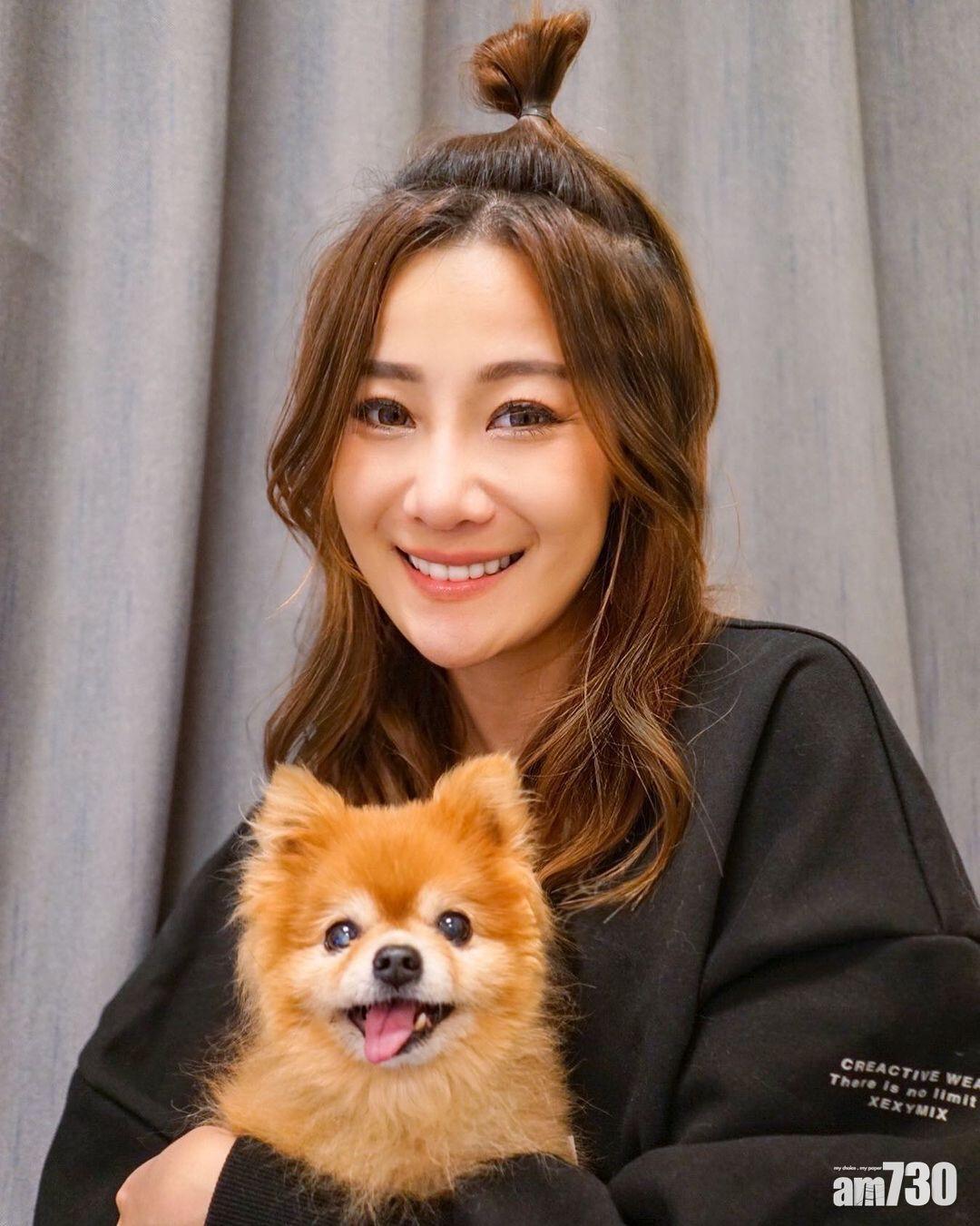 朱智賢的愛犬。