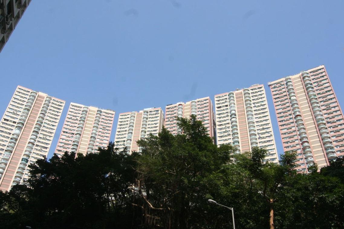 1639127903_xq.jpg
