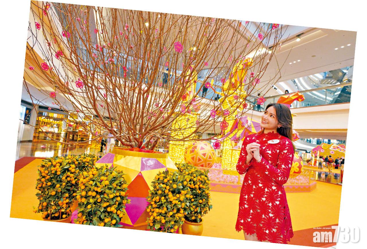 「虎躍春暉.迎新歲」桃花樹