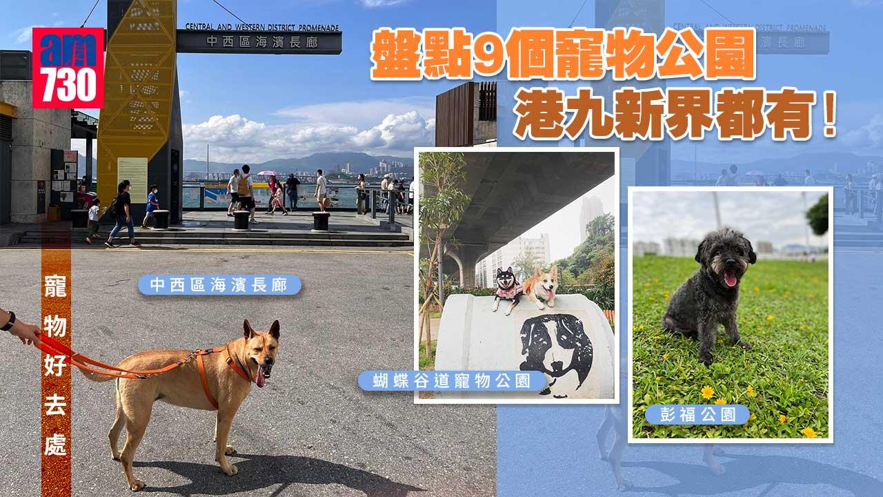 寵物好去處 盤點9個寵物公園港九新界都有 中西區海濱長廊 蝴蝶谷道寵物公園 Am730 寵物好去處 盤點9個寵物公園港九新界都有 中西區海濱長廊 蝴蝶谷道寵物公園 Am730