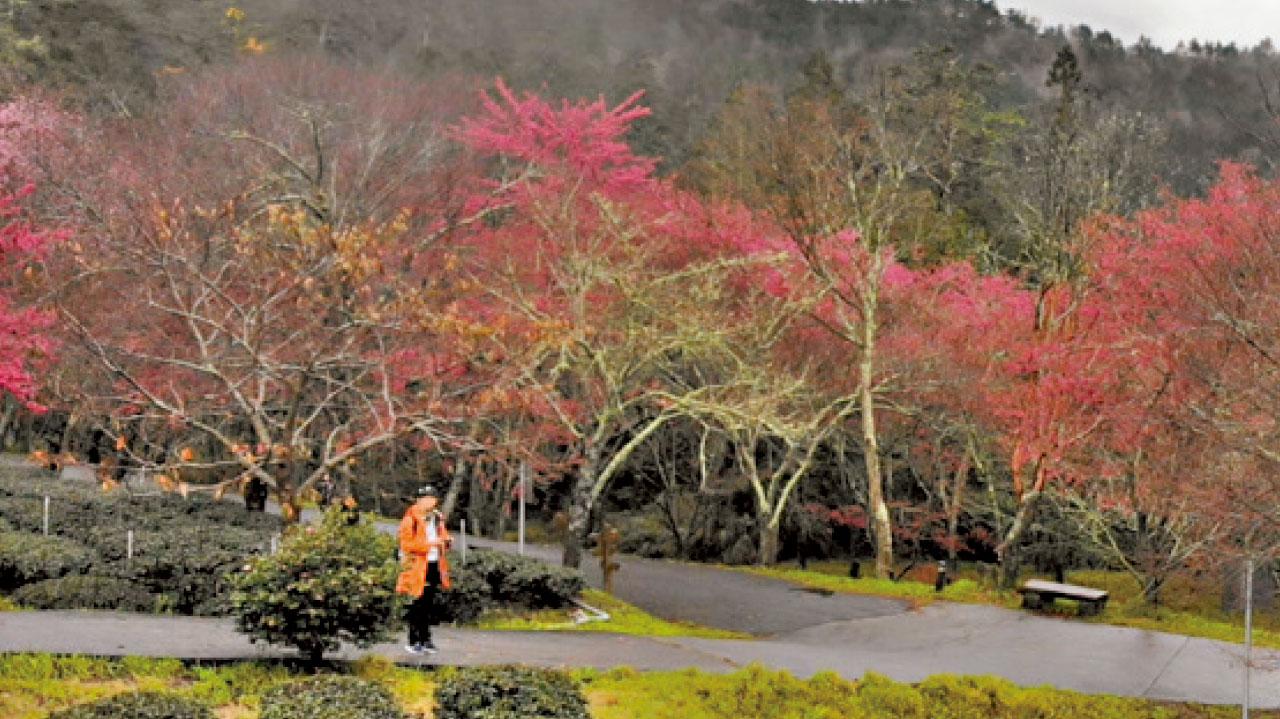 Dji服務熱線 Am730