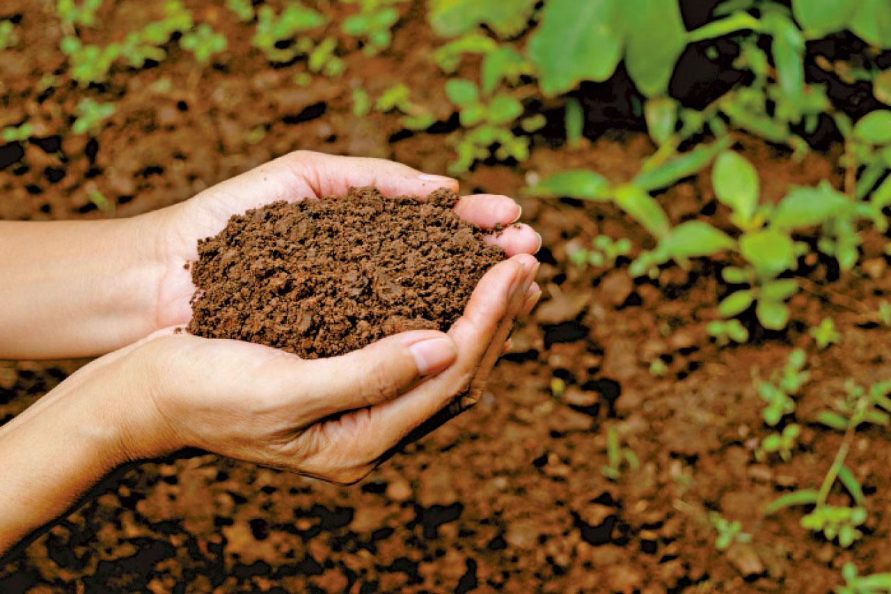 五行對應之顏色及性格 戊土 Am730