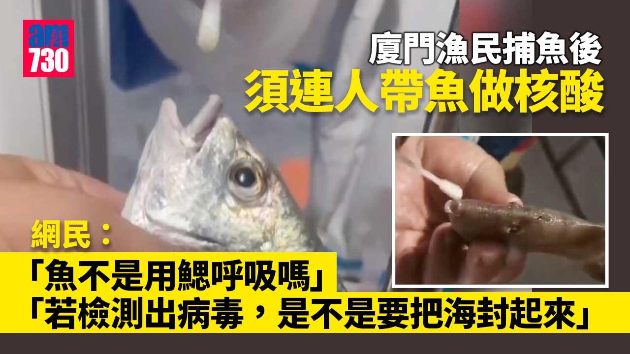 疫情 廈門漁民捕魚後須連人帶魚做核酸網民 魚不是用鰓呼吸嗎 Am730