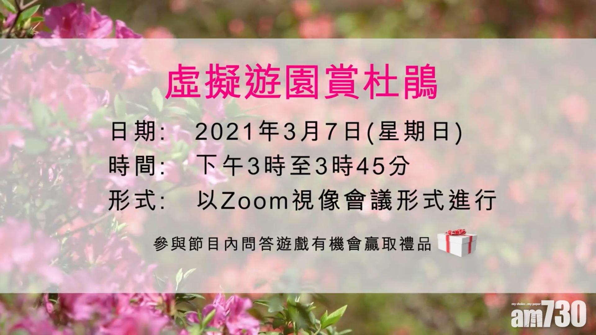 康文署3月首個周日辦zoom虛擬賞杜鵑團名額500個 Am730